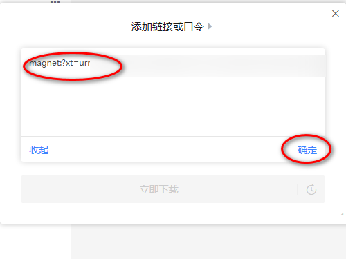迅雷11怎么使用磁力链接？迅雷11使用磁力链接教程  第4张